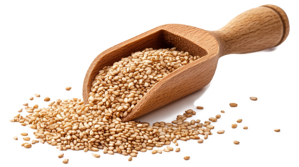 A wooden spoon is filled with white sesame seeds