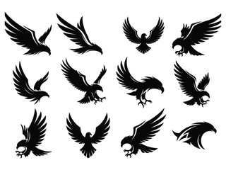 Obraz premium A collection of black silhouette eagle designs in various flight poses