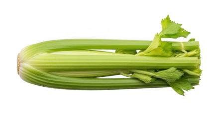 Fresh crisp celery stalks ready for healthy snacks and recipes transparent background black background
