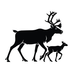Fototapeta premium Silhouette of a reindeer with its calf walking