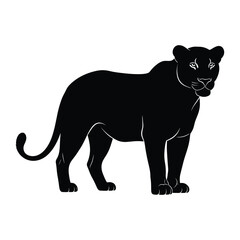 Obraz premium Black panther silhouette standing against a white background