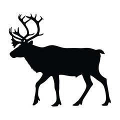 Obraz premium Silhouette of a majestic stag with large antlers walking