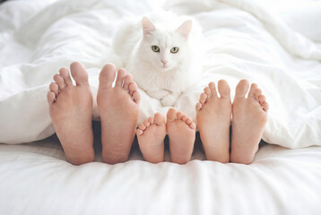 Two pairs of adult feet and small children's feet peek out from under a white blanket, and a white cat lies between them. Advertisement for bedding, mattresses, pillows, and sleep products.