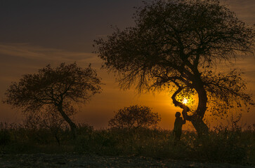 girl at sunset by the tree