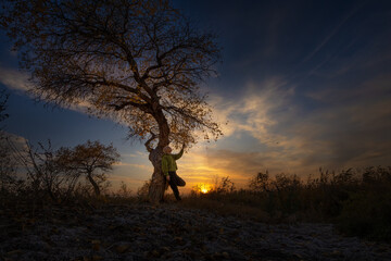 silhouette of a girl in a forest