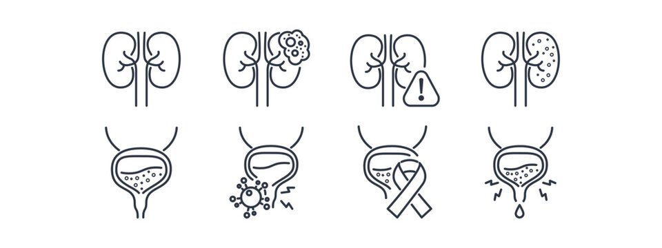 Urology icon set featuring kidney and bladder disease symbols. Medical outline graphics for renal health, urinary tract infections, and cancer awareness materials.