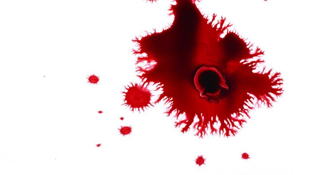 Abstract Ink Drops on Wet Paper