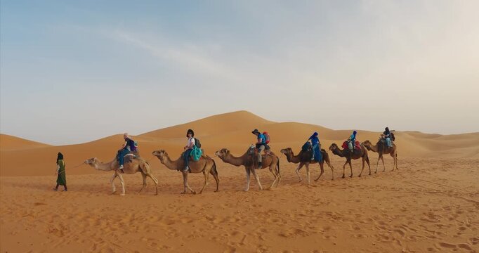 Sahara, Morocco - Apr 06, 2025: Tourists riding camels in the golden sands of a desert under a blue sky