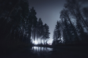 Mysterious silhouette of a person standing in a foggy forest at night, with tall trees and a reflection in water creating a dark, cinematic atmosphere.