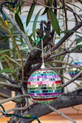 Colorful Rainbow-mirrored Disco Ball Ornament Hanging in between Tree Twigs, Shallow DOF