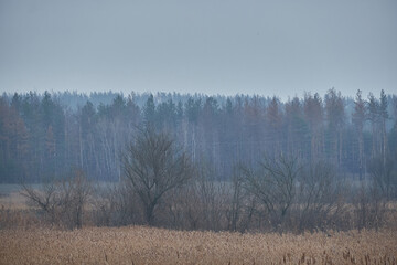 Beautiful winter landscape in Ukraine
