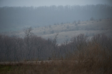 Beautiful winter landscape in Ukraine