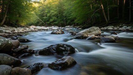 Serene forest stream with blurred water and rocks