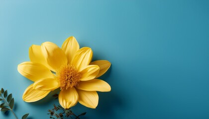 Naklejka premium Bright Yellow Flowers Against A Solid Light Blue Background