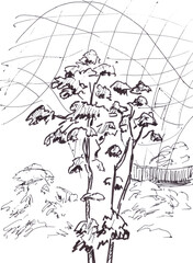 Fototapeta premium tropical garden at doha airport qatar graphic sketch