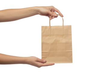 Hand holding shopping bag. Person holding paper bag. Brown paper bag.