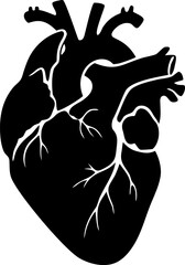 Anatomical Heart Black Silhouette Illustration