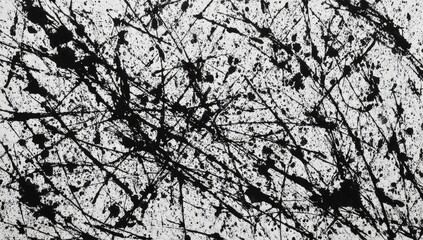 Obraz premium Abstract artwork featuring splattered black ink lines on a white background