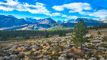 California Mountain Range with Snow Capped Peaks Forest and Sagebrush Landscape