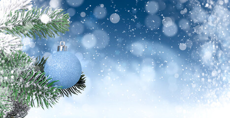 Christmas ball hanging from fir tree branch against blue background with snow. Banner design