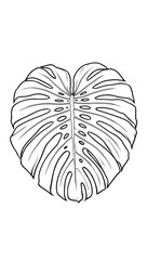 Line art: single botanical leaf (monstera), clean vector style, no fill, black on white, 0.5pt stroke