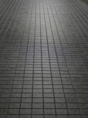 Tokyo, Japan - December 25, 2025: Wet street after the rain at dawn
