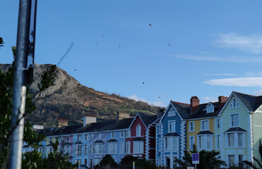 Colorful Victorian houses line a street under a bright blue sky with distant mountains, bathed in sunlight, creating a cheerful, picturesque scene in Llanfairfechan - Wales - UK
