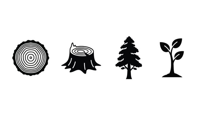 Growth and change illustrated by tree life stages from stump to sapling