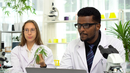 Professional diverse scientist team working with cannabis in laboratory. African American male researcher using laptop while female colleague holds hemp leaf for medicinal study concept.
