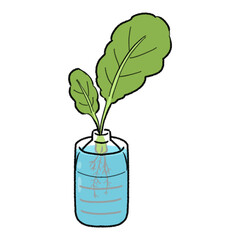 小松菜のリボベジのイラスト