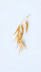 Single oat sprig, natural beige, delicate grains, isolated on white, soft daylight, food packaging use