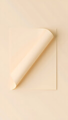 Subtle paper fold effect: light shadow crease on ivory background, minimal depth, print-ready mockup