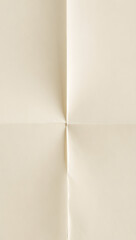 Subtle paper fold effect: light shadow crease on ivory background, minimal depth, print-ready mockup