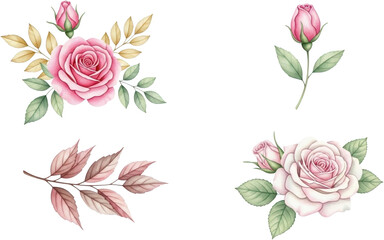 A collection of four watercolor style pink rose elements featuring delicate petals green leaves and accenting golden and dusty rose colored foliage floral flower botanical