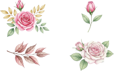 A collection of four watercolor style pink rose elements featuring delicate petals green leaves and accenting golden and dusty rose colored foliage floral flower botanical
