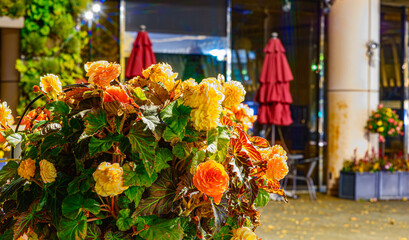 夜のハンギングバスケット