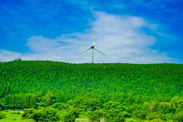 青空と森の風車