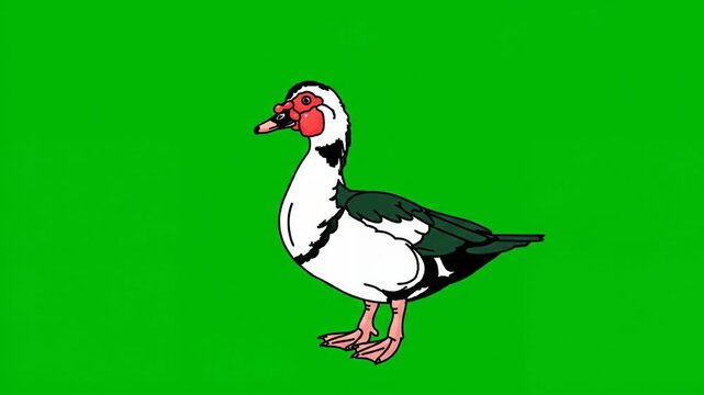 A cartoon duck stands alone on a vibrant green background in a simple illustration