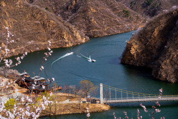 The lake and bridge in spring, with apricot blossoms blooming on both banks.
