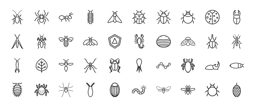 Insect and bug line icon set. Vector pictograms of spider, ant, beetle, fly, bee, scorpion, ladybug, grasshopper, cockroach and mosquito, thin outline illustration.