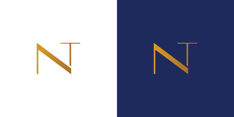 Luxury and modern letter NT initials logo design