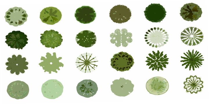 Collection of different top down views of trees and foliage patterns