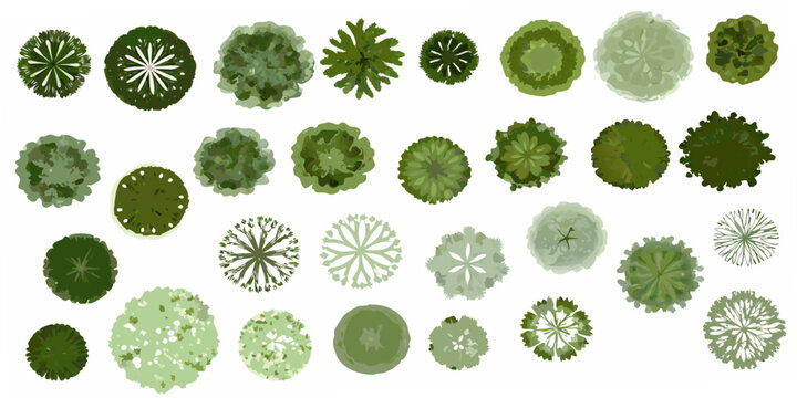 An aerial view showcasing diverse green tree canopy shapes and textures
