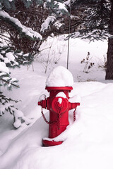 The red fire hydrant covered in snow stands in stark contrast to the surrounding environment.