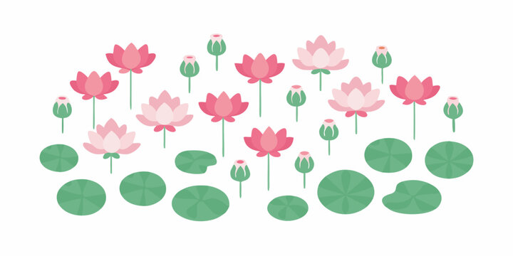 A flat lay illustration of pink lotus flowers and green lily pads