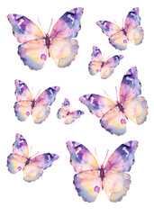 Watercolor Blue Butterflies Isolated png