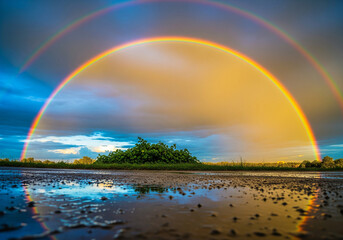 Radiant double rainbow over serene, reflective landscape post-rain, illuminating dense vegetation, highlighting biodiversity, bathed in glorious natural light