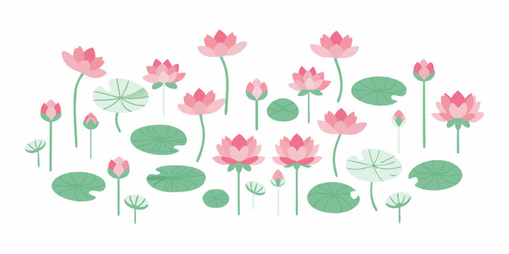 A serene illustration of pink lotus flowers and green lily pads