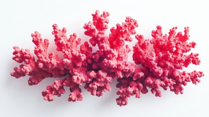 Fototapeta premium Pink coral reef isolated on white background