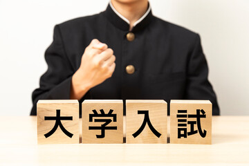 「大学入試」と書かれたブロックとガッツポーズをする男子学生